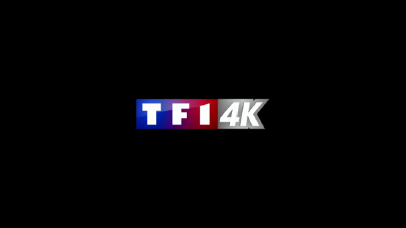 TF1 4K débarque de nouveau sur la Freebox