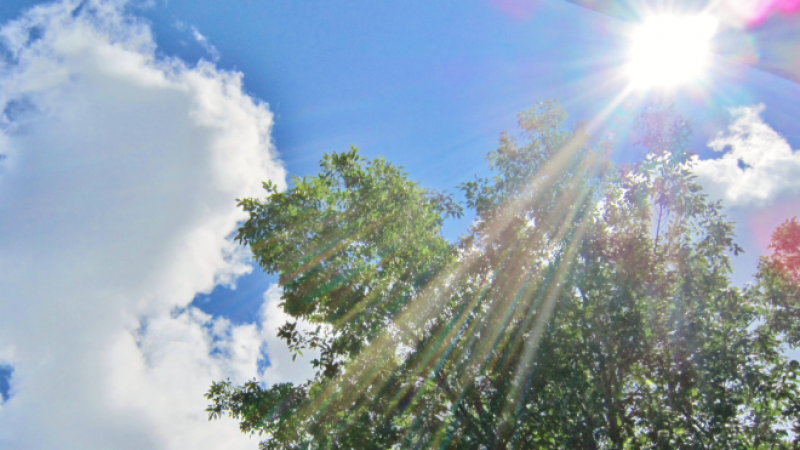 Canicule : quelques trucs et astuces pour protéger vos Freebox de la surchauffe