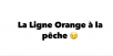 Clin d’oeil : “la ligne Orange à la pêche”