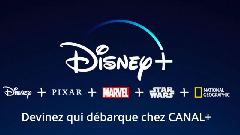 Canal+ lance une nouvelle vente flash sur les Freebox avec Disney+ inclus