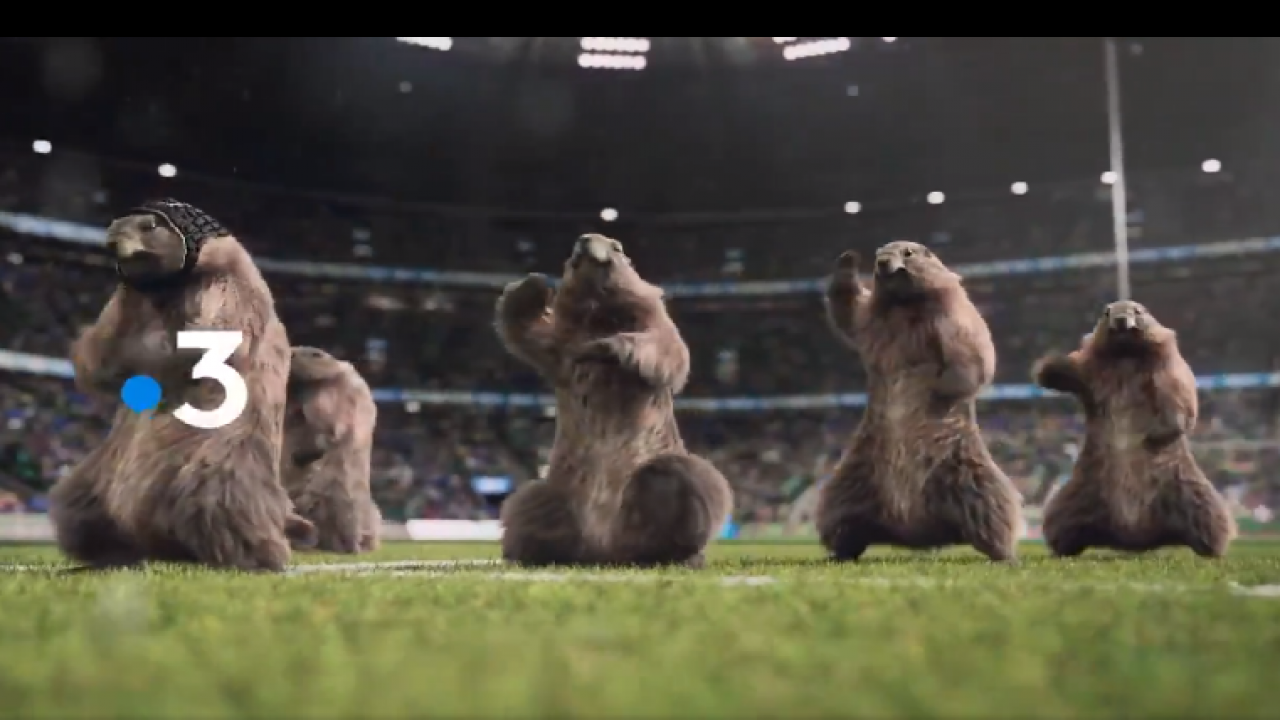 Les Emblematique Marmottes De France 3 Reviennent En Mode Sports Tout L Ete