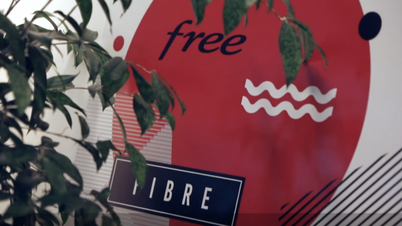Free lance une “offre spéciale” à destination de ses abonnés Freebox