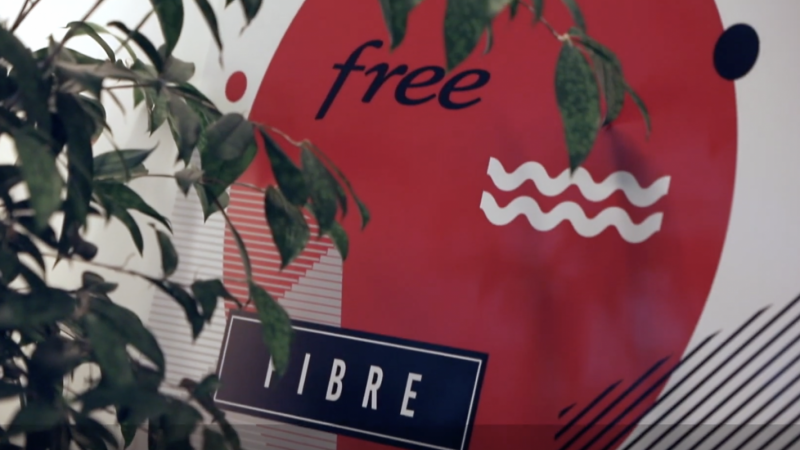 Free se lancera sur le marché des entreprises avec une nouvelle Freebox