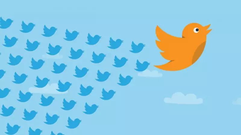 Free, SFR, Orange et Bouygues : les internautes se lâchent sur Twitter #202