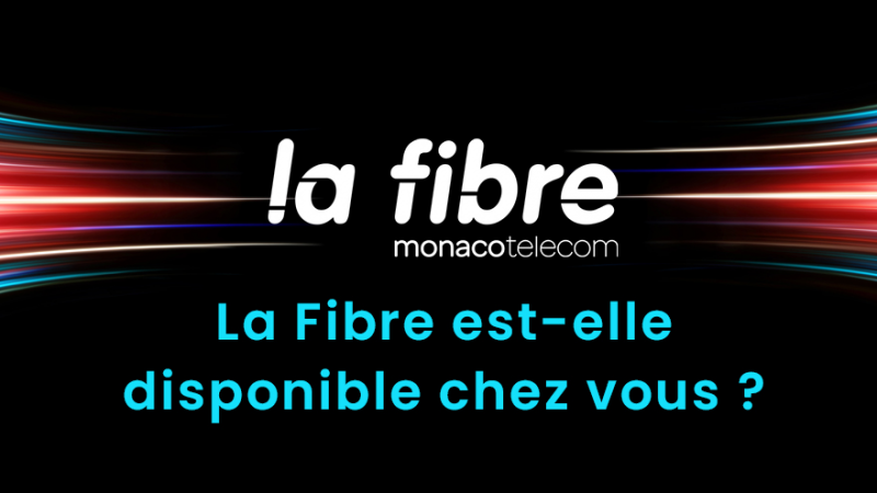 Xavier Niel va lancer la fibre avec Monaco Telecom