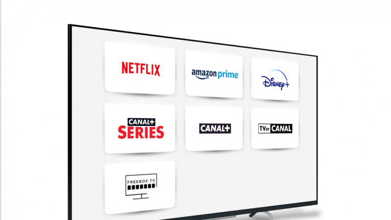 Netflix, Disney+, Salto… quels services de SVOD utilisez-vous sur la Freebox ?