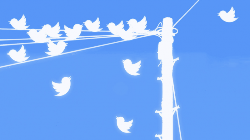Free, SFR, Orange et Bouygues : les internautes se lâchent sur Twitter #166