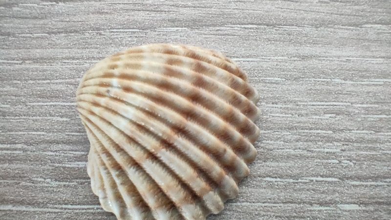 [MAJ] [Film] LOL (Laughing Out Loud)