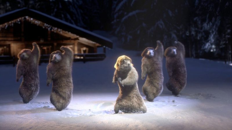Les célèbres marmottes de France 3 tirent leur révérence, découvrez quel animal les remplace