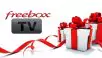 Freebox TV : C’est parti pour 8 chaînes françaises offertes et même plus