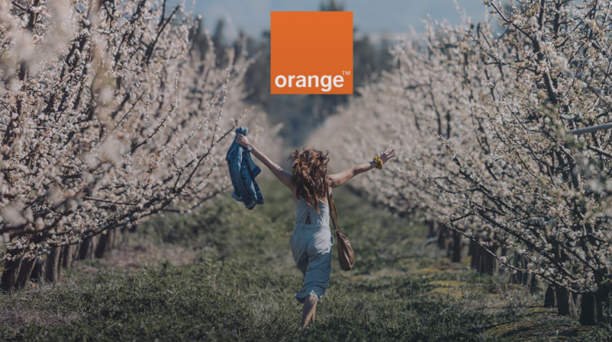 Orange annonce offrir 24 chaînes à ses abonnés Livebox