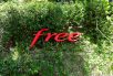 Les nouveautés de la semaine chez Free et Free Mobile : l’offre spéciale Freebox joue les prolongations, Free présente son concurrent Reef…