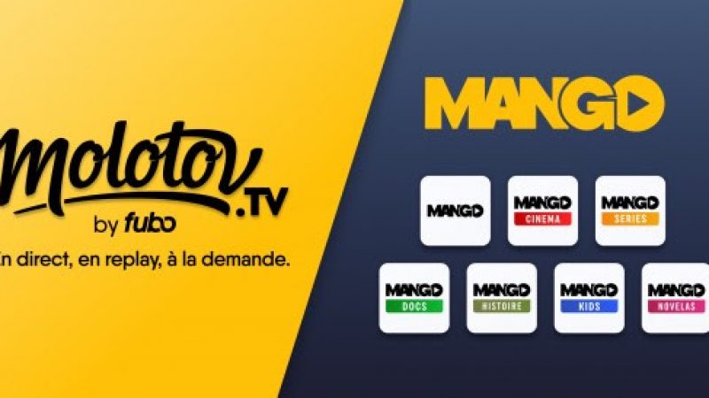 Face à Pluto TV, Molotov lance 7 nouvelles chaînes linéaires en streaming gratuites