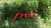 Les nouveautés de la semaine chez Free et Free Mobile : des mises à jour pour les abonnés Freebox, des offres spéciales…