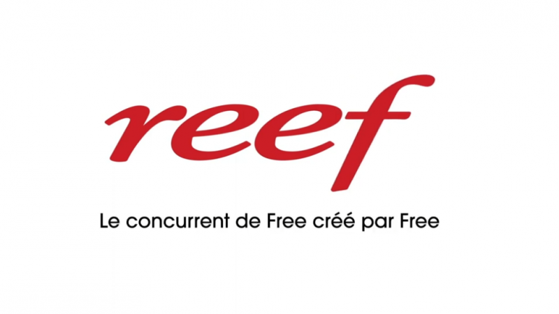 Reef lance un nouvel épisode de sa saga pub, et cette fois-ci, il veut faire mieux que le forfait illimité de Free