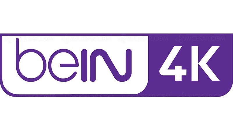 BeIN Sports 4K débarque dès demain sur la Freebox, spécialement pour la Coupe du Monde