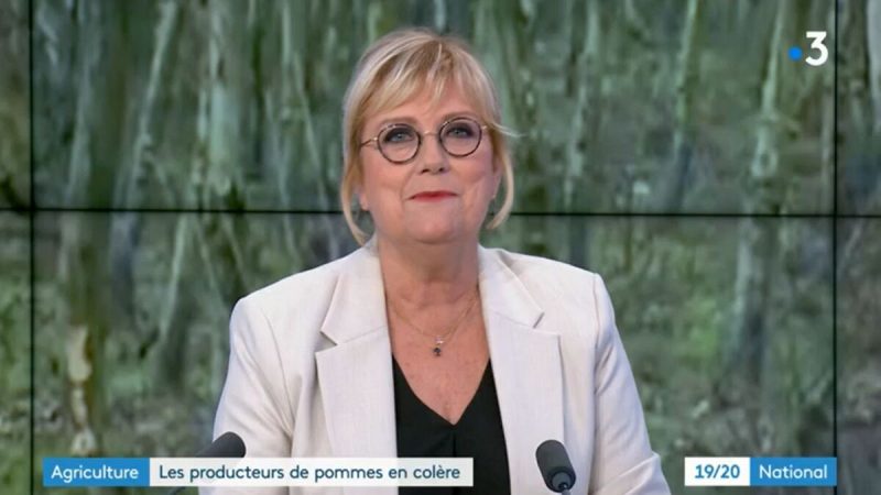 Sentiment de rejet par France Télévisions pour Catherine Matausch après l’arrêt de son journal