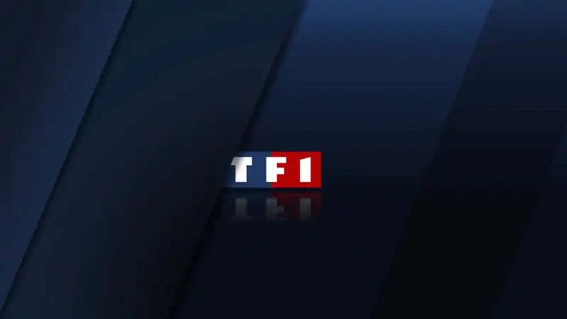 TF1 s’attaque à YouTube et réclame que la plateforme soit davantage régulée