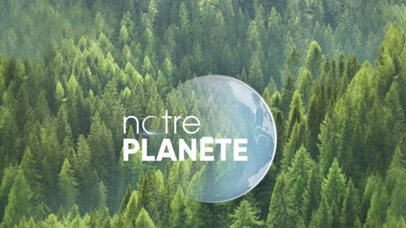 TF1 lance une nouvelle chaîne live gratuite baptisée “Notre planète”
