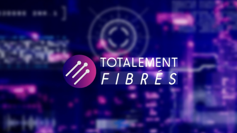 Totalement fibrés : lancement de 3 nouvelles box, petite révolution chez Free Mobile, etc…