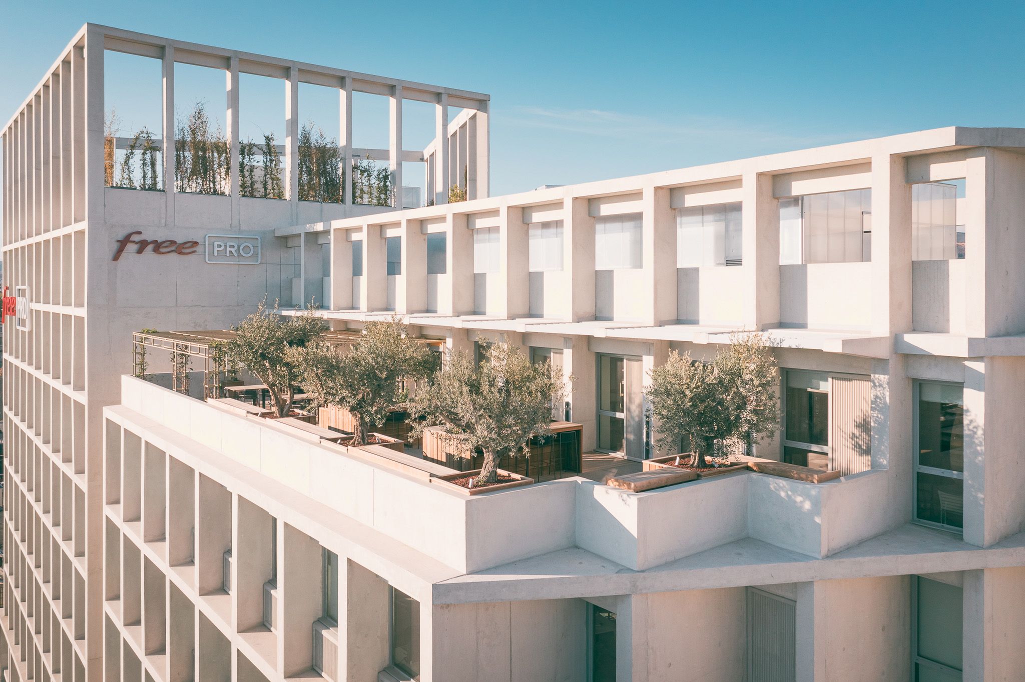 Free Pro active la VoNR et généralise la 5G+ automatiquement sur plus de 100 smartphones pour ses clients