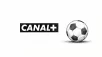 Piratage : Canal+ fait bloquer des dizaines de sites par Free, Orange, SFR et Bouygues et s’attaque aussi aux VPN, DNS et à Google
